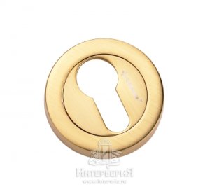 ARCHIE GENESIS CL-20G CL S. GOLD